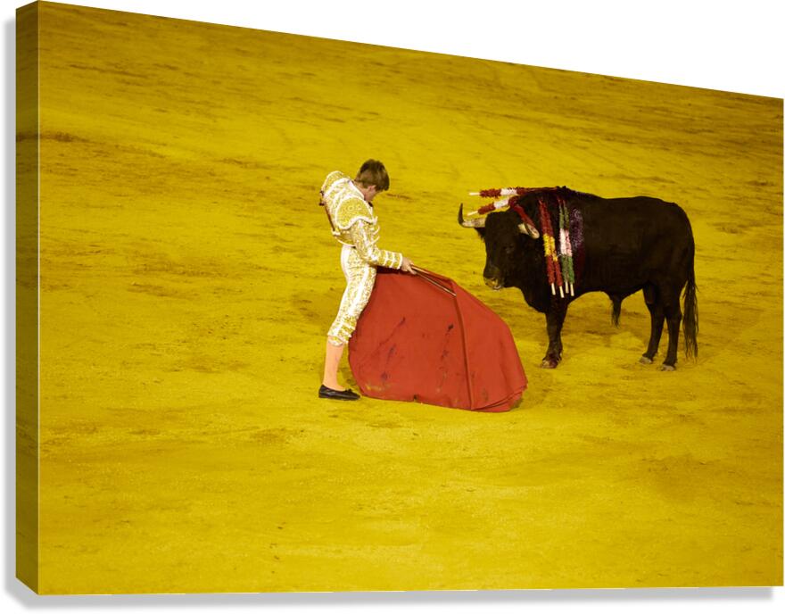 Bullfight event in Seville arena during Andalusia festival