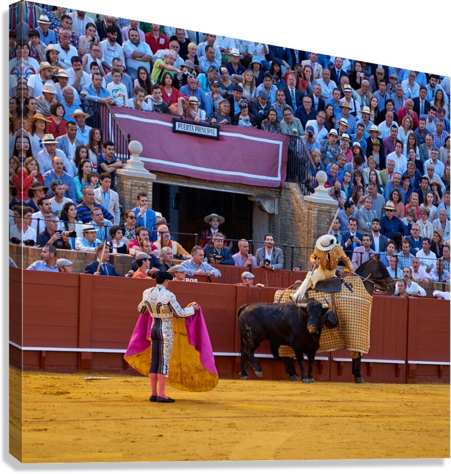 Bullfight event in Seville Arena during a sunny afternoon