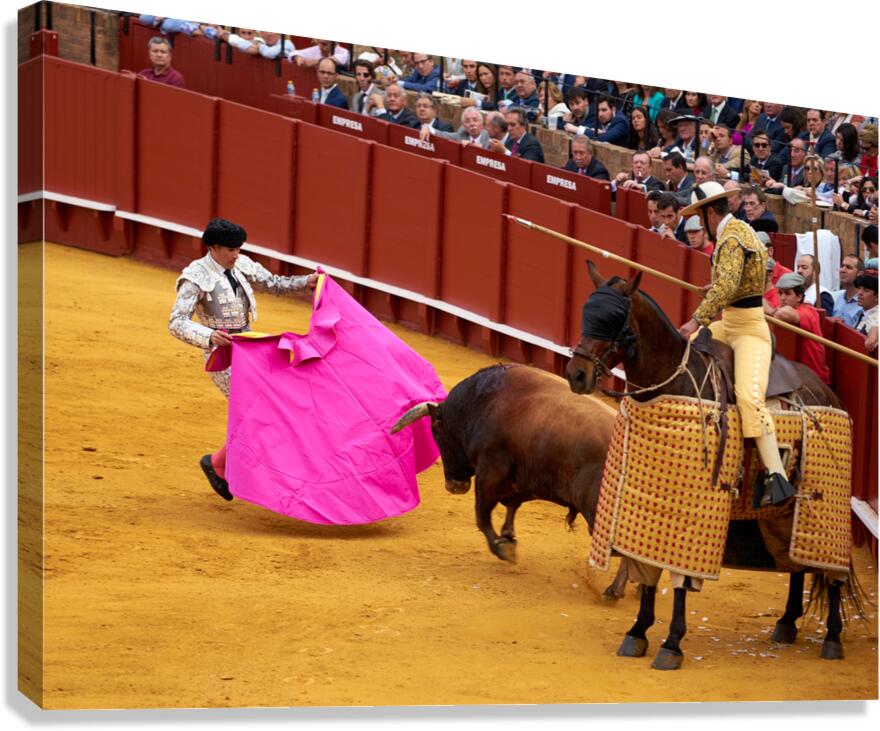 Bullfight event in Seville Arena in Andalusia Spain