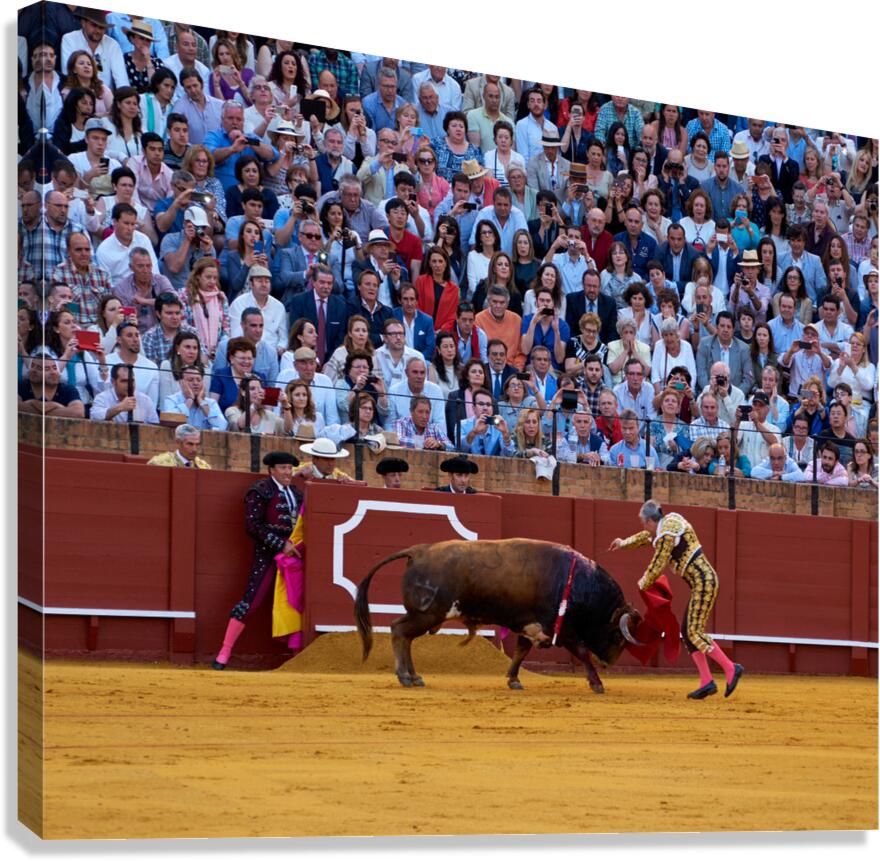 Bullfight event in Seville Arena during Andalusia festival