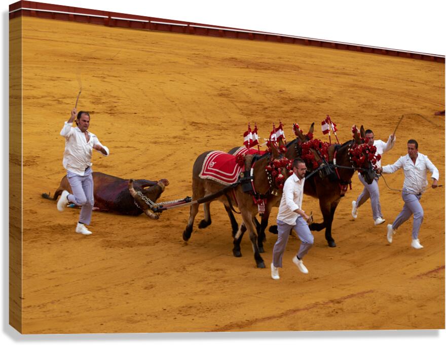Bullfight event in Seville Arena during Andalusia festival