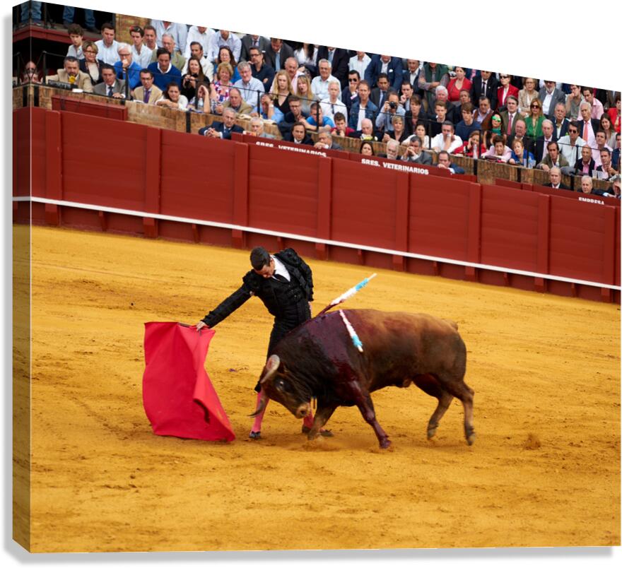 Bullfight action in Seville Arena during event in Andalusia