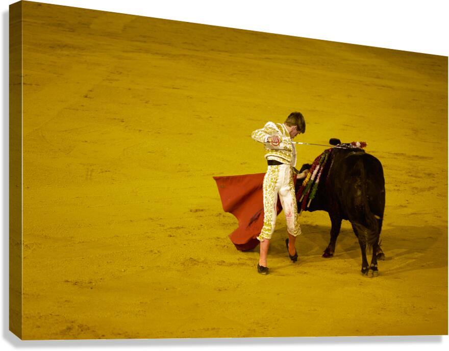 Bullfight event in Seville Arena located in Andalusia Spain