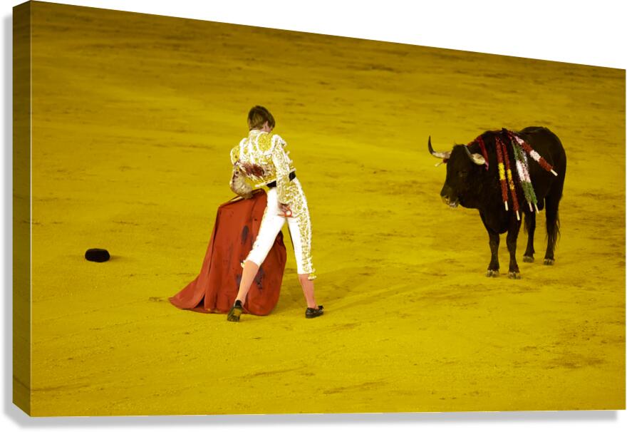 Bullfight event at Seville Arena in Andalusia Spain