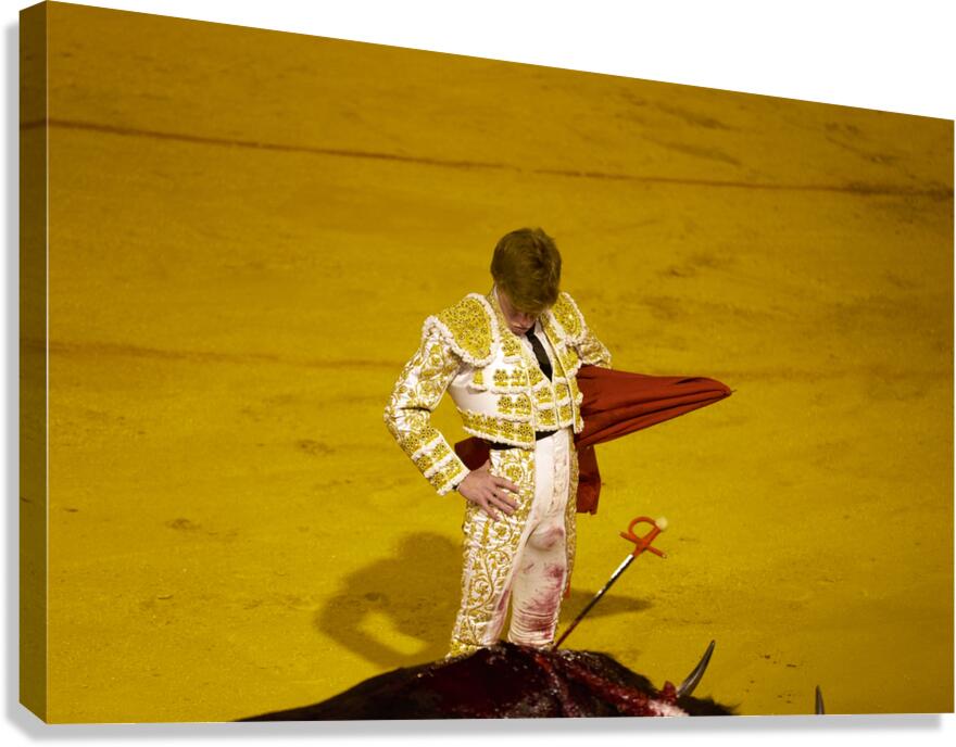 Bullfight event in Seville Arena of Andalusia Spain