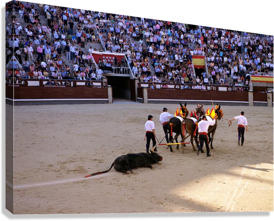 Bullfight event in Madrid attracts spectators