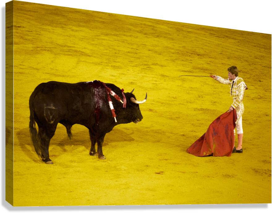 Bullfight takes place in Seville Arena during event in Spain