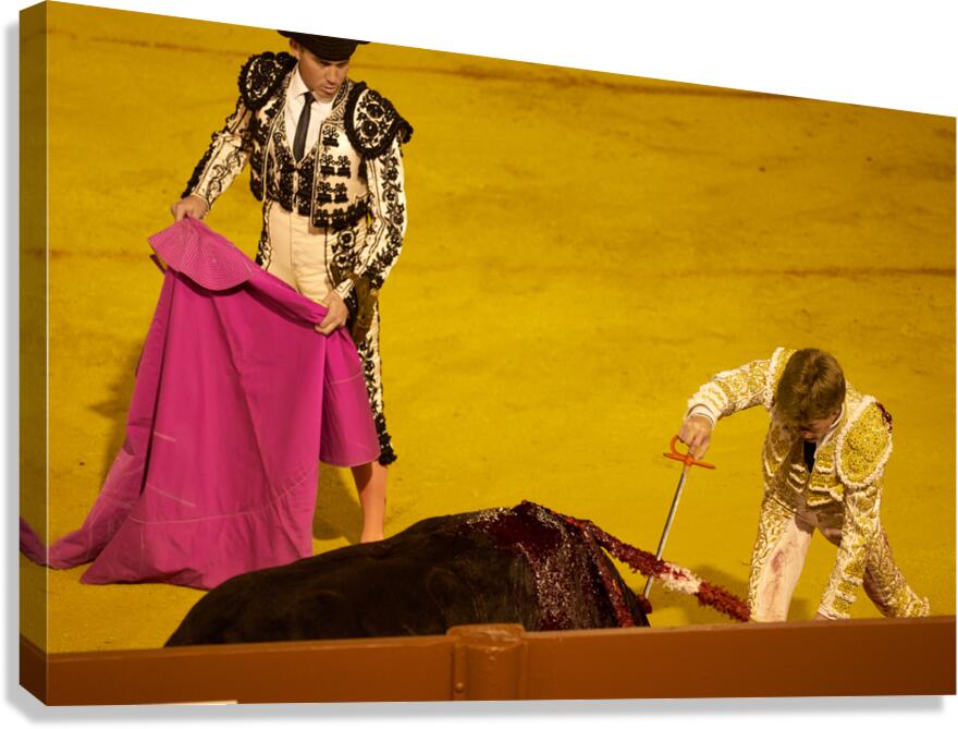 Bullfight event in Seville Arena during daytime hours