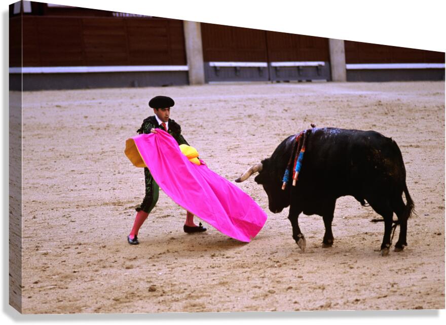 Bullfighter engages with bull at Las Ventas Bullring in Madrid