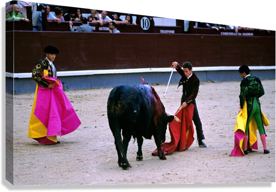 Bullfighting event at Las Ventas Bullring in Madrid