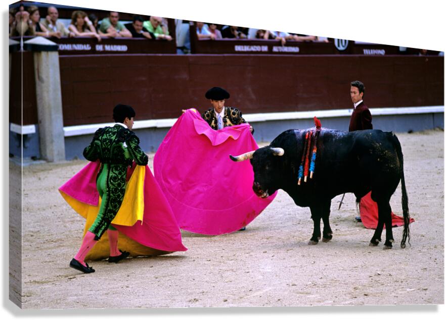 Bullfight at las ventas bullring in madrid spain