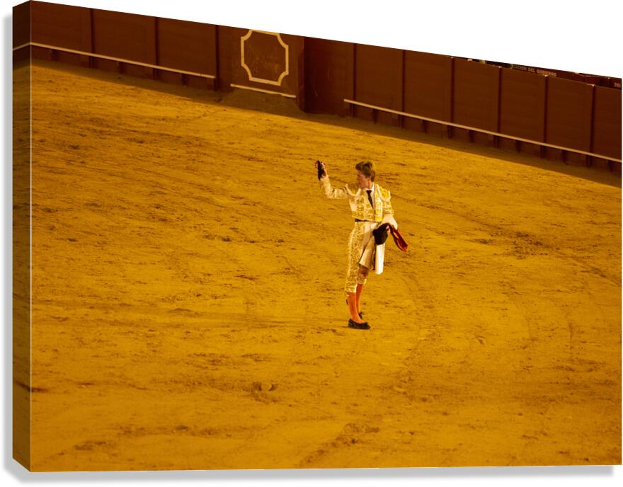 Bullfighter performs in Seville Arena during event in Andalusia