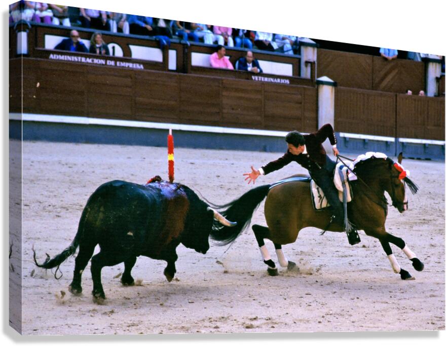 Bullfight on horseback at Las Ventas in Madrid Spain