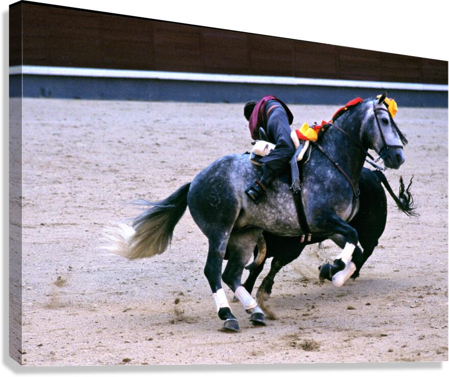 Bullfight action captured in Madrid Spain