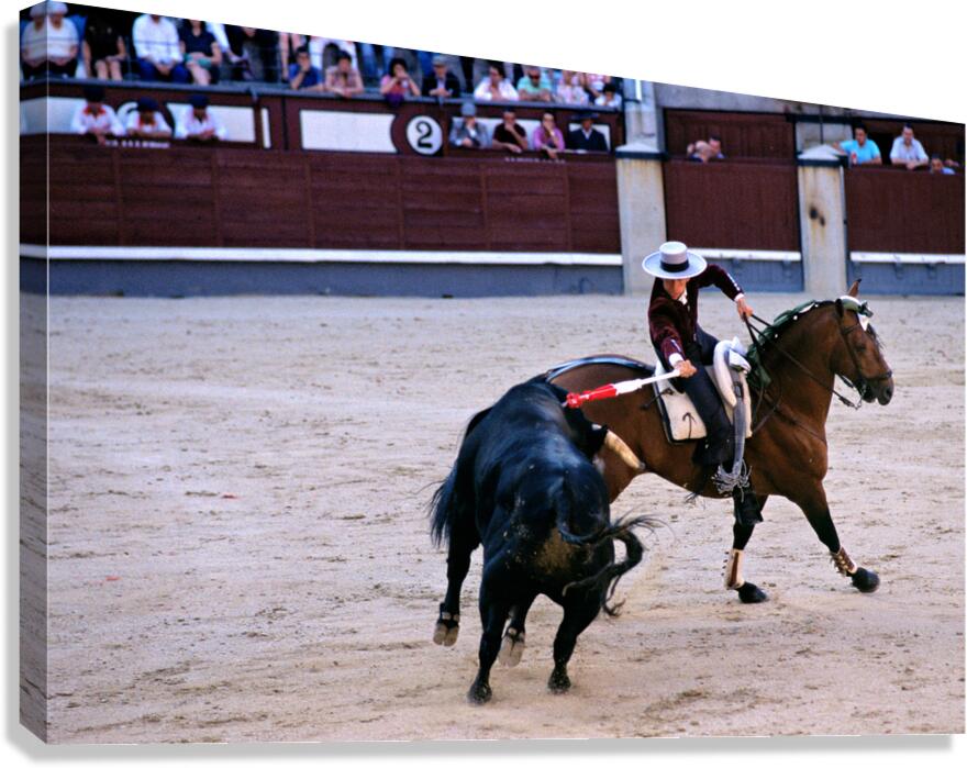 Bullfighting on horseback at Las Ventas in Madrid Spain