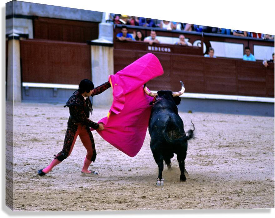 Bullfight event in Madrid Spain featuring a matador
