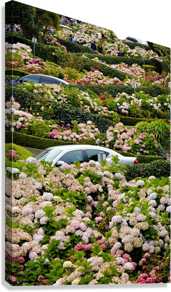 Visitors stroll Lombard Streets winding paths