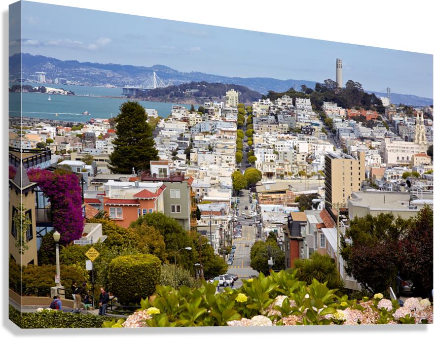 Visiting telegraph hill and coit tower sf