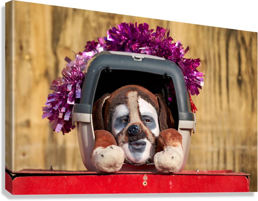 Venice Carnival features costumed performer in a box