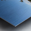 Oamaru New Zealand. Steampunk HQ Art gallery. The Steampunk Engine Metal print