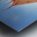 The National Museum of Phnom Penh Cambodia Metal print