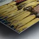 Central Market Psah Thom Thmey of Phnom Penh Cambodia Metal print