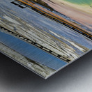 A bison crossing Grand Prismatic Spring at the Yellowstone National Park. Wyoming. USA. Metal print