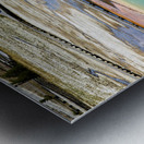 A bison crossing Grand Prismatic Spring at the Yellowstone National Park. Wyoming. USA. Metal print