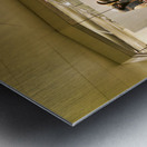 New York. Manhattan. United States. The Metropolitan Museum of Art. Egyptian Art Metal print