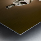 New York. Manhattan. United States. The Metropolitan Museum of Art. Asian Art Gallery. Bodhisattva with crossed ankles Metal print