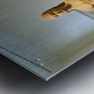 New York. Manhattan. United States. The Metropolitan Museum of Art. Greek and Roman Art. Marble statue of a kouros youth Metal print