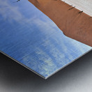 Namibia. Deadvlei clay pan. Namib Naukluft National Park. A dried out dead camel thorn Vachellia erioloba Metal print