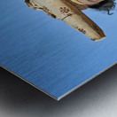 Namibia. Portrait of a woman of Herero Bantu ethnic group Metal print