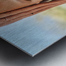 Namibia. Portrait of a Himba woman in Kunene region Metal print