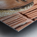 Namibia. Portrait of a joyful child in Kavango Region Metal print