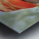 Namibia. Portrait of a woman of Zemba Bantu ethnic group in Kunene Region Metal print