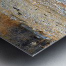 Namibia. Etosha National Park. A Gemsbok Oryx drinking at a waterhole Metal print