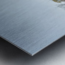 Namibia. Etosha National Park. Gemsbok Oryx Metal print