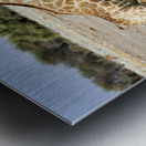 Namibia. Etosha National Park. Giraffe drinking at a waterhole Metal print