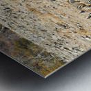 Namibia. Etosha National Park. Zebras drinking at a waterhole Metal print