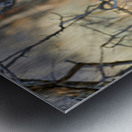 Namibia. Cheetah after a kill in Okonjima Reserve Metal print