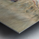 Namibia. Cheetah after a kill in Okonjima Reserve Metal print