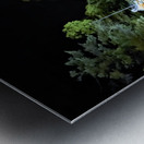 Japan. Kyoto. Yasaka shrine at night Metal print