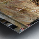 Jerusalem Israel. The church of the Holy Sepulchre Metal print