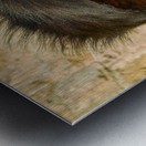 ISRAEL Jerusalem. Orthodox jew Metal print