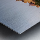 India Rajasthan. Khimsar Fort Metal print