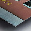 INDIA Rajasthan Metal print