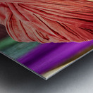 INDIA Rajasthan Jaisalmer Metal print