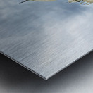 India Agra. The Taj Mahal Palace Metal print