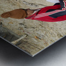 India. Varanasi Benares Uttar Pradesh. The sacred rite of hindu cremations by the river Ganges Metal print